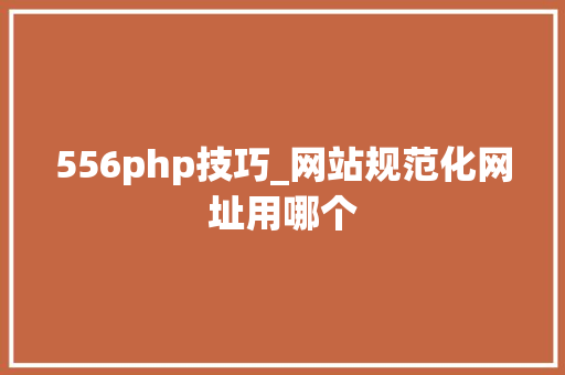 556php技巧_网站规范化网址用哪个