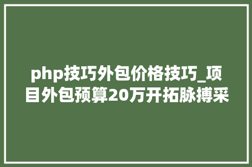 php技巧外包价格技巧_项目外包预算20万开拓脉搏采集还原设备预算5万开拓FPGA摄像头