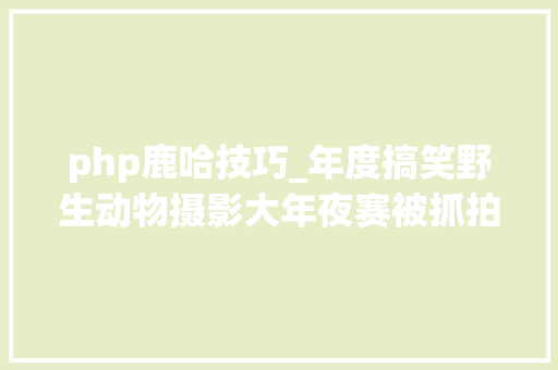 php鹿哈技巧_年度搞笑野生动物摄影大年夜赛被抓拍的动物们切实其实从头开始啊哈哈哈哈