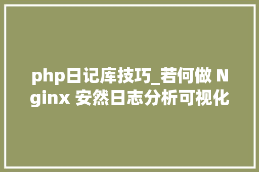 php日记库技巧_若何做 Nginx 安然日志分析可视化看完这一篇秒懂
