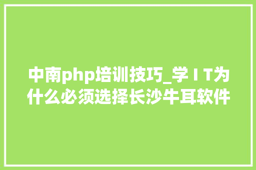 中南php培训技巧_学 I T为什么必须选择长沙牛耳软件学院