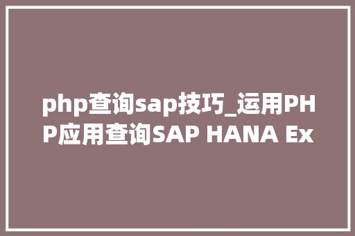 php查询sap技巧_运用PHP应用查询SAP HANA Express Edition里的数据