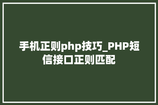 手机正则php技巧_PHP短信接口正则匹配
