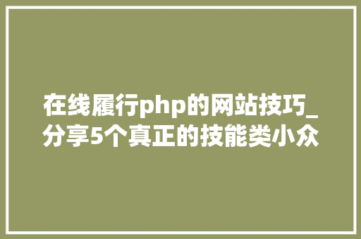 在线履行php的网站技巧_分享5个真正的技能类小众网站没技能退散