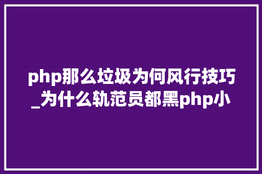 php那么垃圾为何风行技巧_为什么轨范员都黑php小编有话说