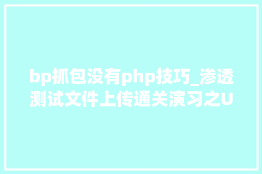 bp抓包没有php技巧_渗透测试文件上传通关演习之Uploadlabs