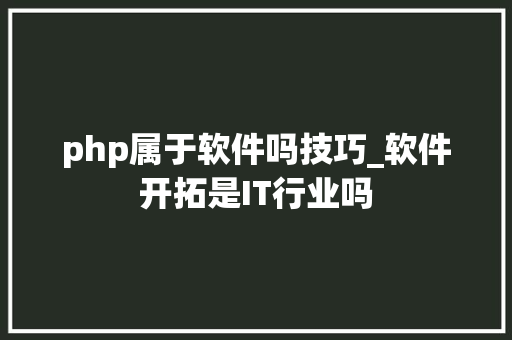 php属于软件吗技巧_软件开拓是IT行业吗