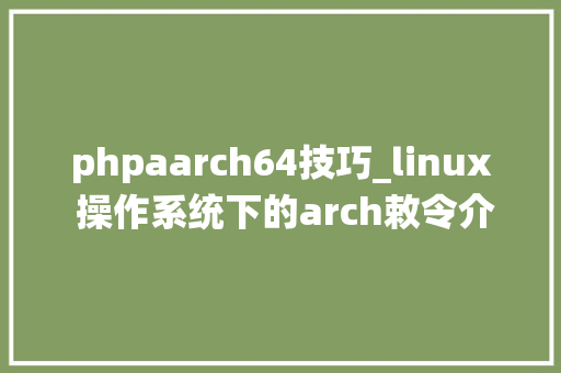 phpaarch64技巧_linux 操作系统下的arch敕令介绍