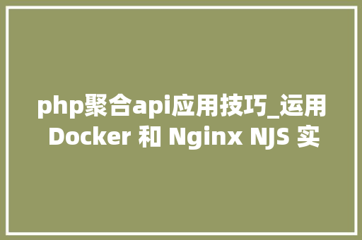 php聚合api应用技巧_运用 Docker 和 Nginx NJS 实现 API 聚合做事前篇