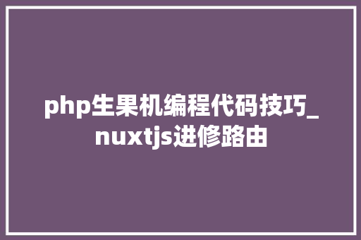 php生果机编程代码技巧_nuxtjs进修路由