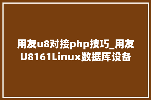 用友u8对接php技巧_用友U8161Linux数据库设备