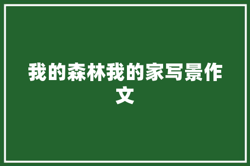 重庆高科技企业排名「重庆百度seo整站优化」