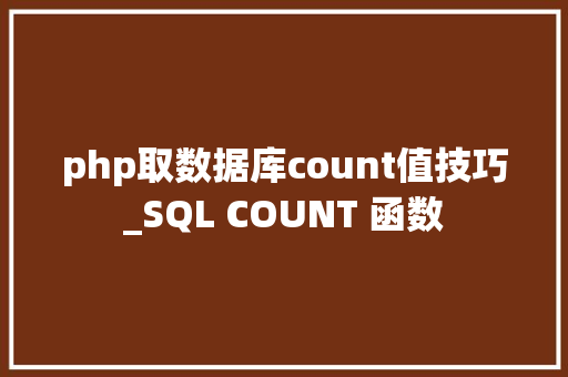 php取数据库count值技巧_SQL COUNT 函数