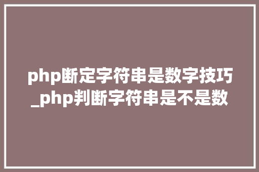 php断定字符串是数字技巧_php判断字符串是不是数字