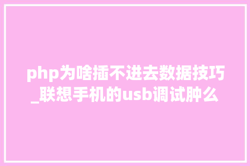 php为啥插不进去数据技巧_联想手机的usb调试肿么不上电脑