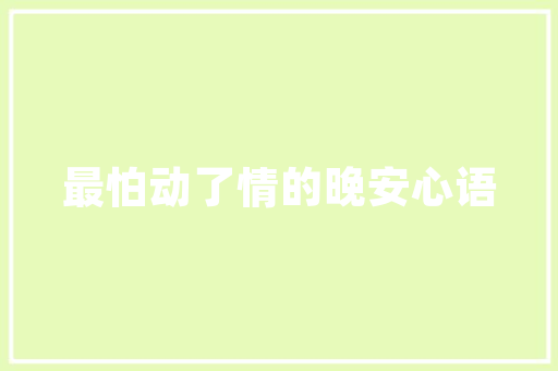 最好的SEO排名优化工具「百度seo网络优化是什么」
