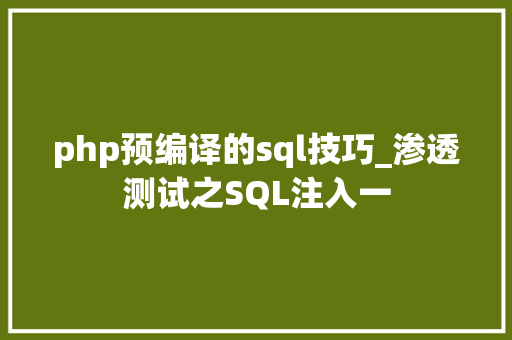 php预编译的sql技巧_渗透测试之SQL注入一