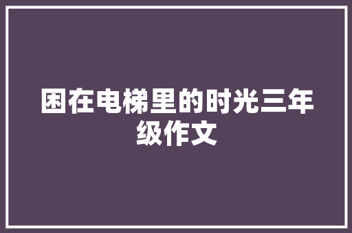 SEO优化哪家做的比较好，有没有朋友推荐一下「百度seoo优化软件」