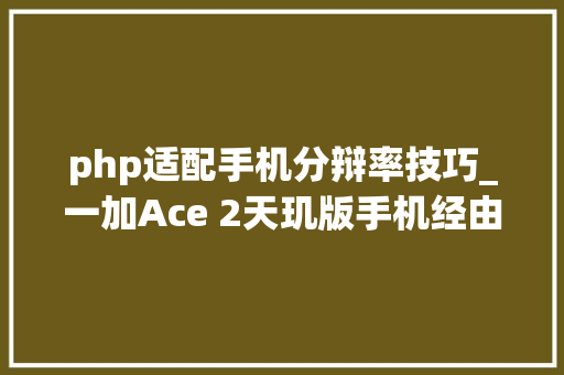 php适配手机分辩率技巧_一加Ace 2天玑版手机经由进程国内认证快充降至80W