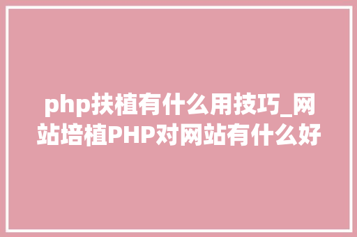 php扶植有什么用技巧_网站培植PHP对网站有什么好处