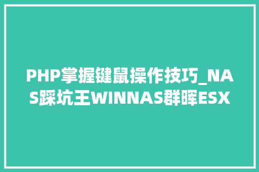 PHP掌握键鼠操作技巧_NAS踩坑王WINNAS群晖ESXIUNRAID试用比拟