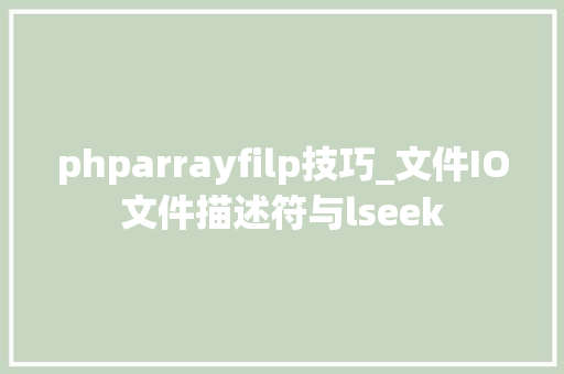 phparrayfilp技巧_文件IO文件描述符与lseek
