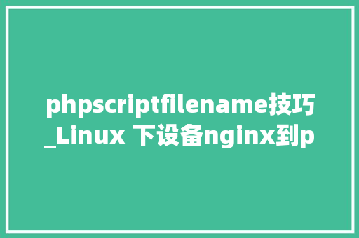 phpscriptfilename技巧_Linux 下设备nginx到php的连接