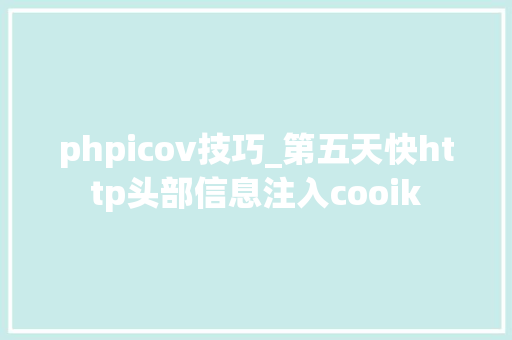 phpicov技巧_第五天快http头部信息注入cooik