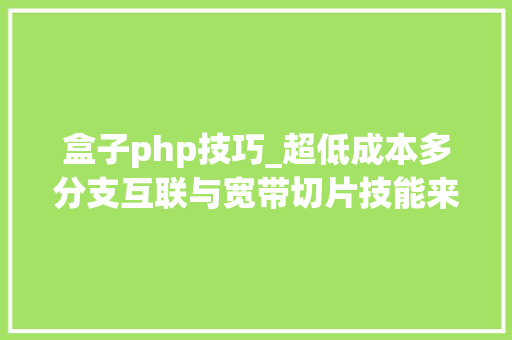 盒子php技巧_超低成本多分支互联与宽带切片技能来了