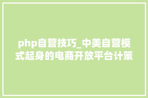 php自营技巧_中美自营模式起身的电商开放平台计策分析