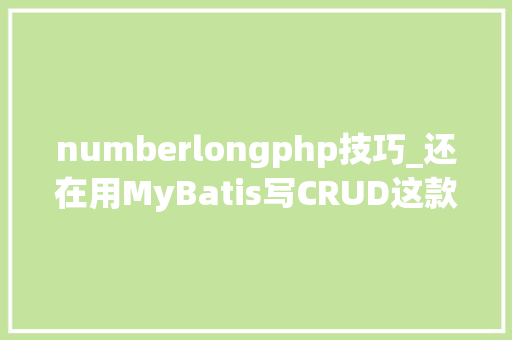 numberlongphp技巧_还在用MyBatis写CRUD这款神器帮你5分钟写后台治理基本功能