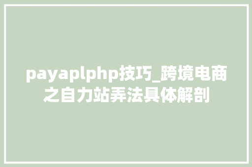 payaplphp技巧_跨境电商之自力站弄法具体解剖