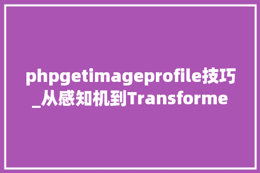 phpgetimageprofile技巧_从感知机到Transformer一文概述深度进修简史