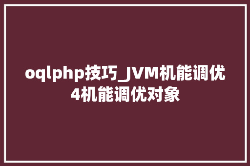 oqlphp技巧_JVM机能调优4机能调优对象