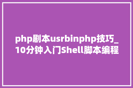 php剧本usrbinphp技巧_10分钟入门Shell脚本编程