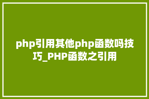 php引用其他php函数吗技巧_PHP函数之引用
