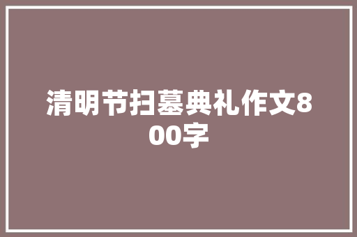 SEO搜索引擎优化前景如何「谷歌跟百度seo区别」