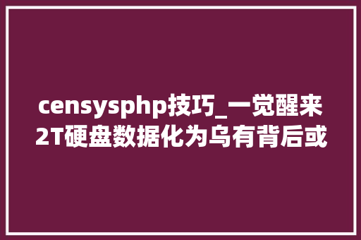 censysphp技巧_一觉醒来2T硬盘数据化为乌有背后或是两名黑客在竞争式入侵