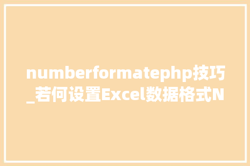 numberformatephp技巧_若何设置Excel数据格式NumberFormat具体举例说明