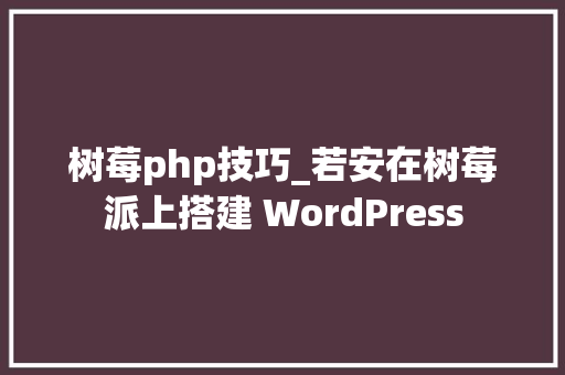 树莓php技巧_若安在树莓派上搭建 WordPress