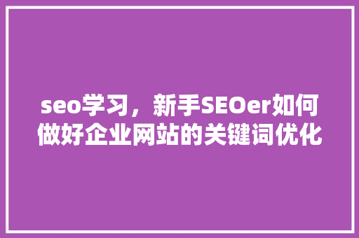 seo学习，新手SEOer如何做好企业网站的关键词优化「seo关键词优化策略有哪些」