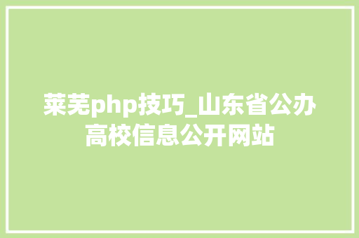 莱芜php技巧_山东省公办高校信息公开网站