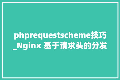 phprequestscheme技巧_Nginx 基于请求头的分发