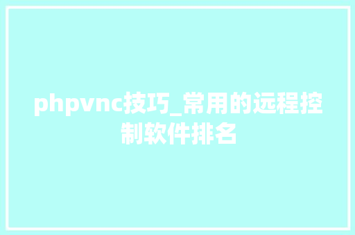 phpvnc技巧_常用的远程控制软件排名
