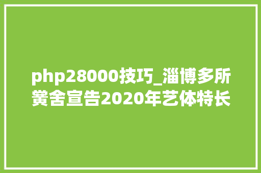 php28000技巧_淄博多所黉舍宣告2020年艺体特长生招生筹划