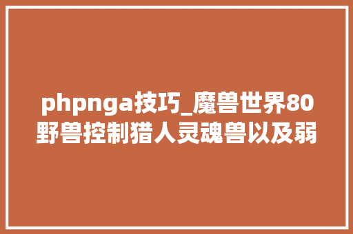 phpnga技巧_魔兽世界80野兽控制猎人灵魂兽以及弱化版哈提相关测试