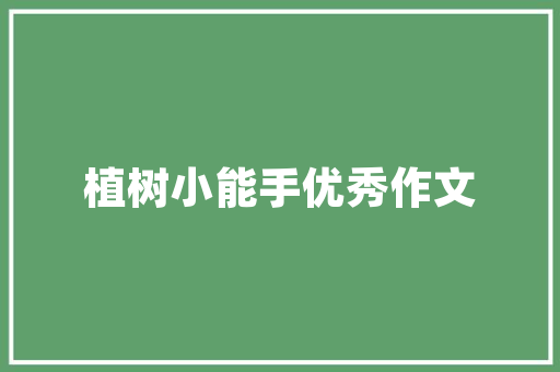 外地人可以在长沙办理护照吗「重庆seo百度快照优化公司」