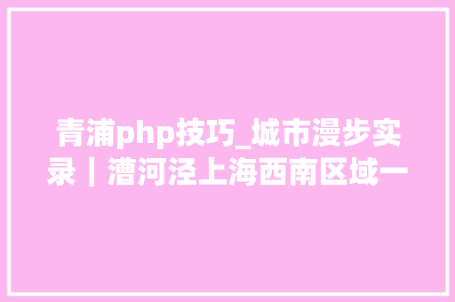 青浦php技巧_城市漫步实录｜漕河泾上海西南区域一个市镇的城市化