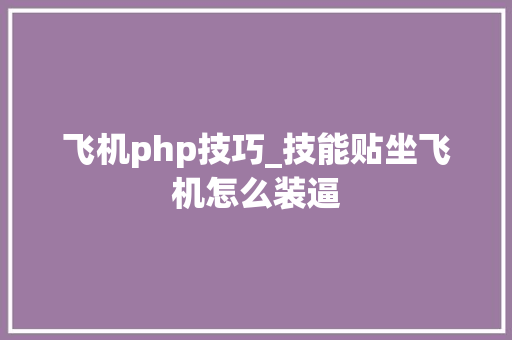 飞机php技巧_技能贴坐飞机怎么装逼