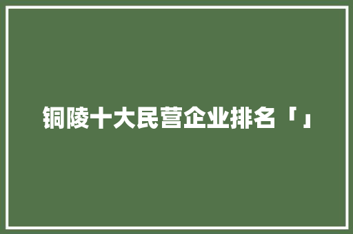 铜陵十大民营企业排名「」